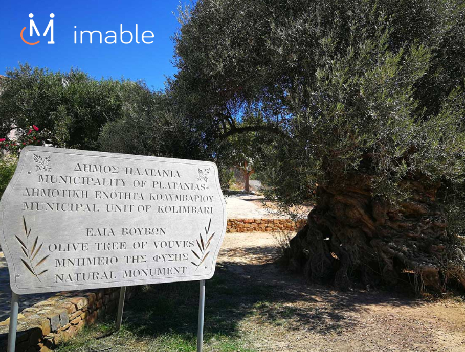 IMABLE TRAVEL - Image 2
