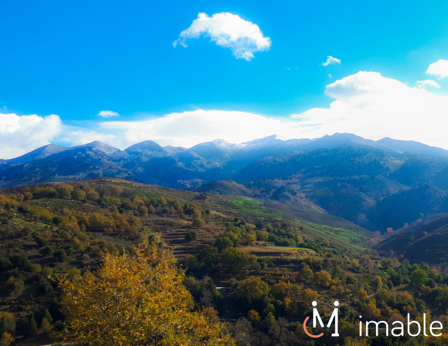 IMABLE TRAVEL - Image 8