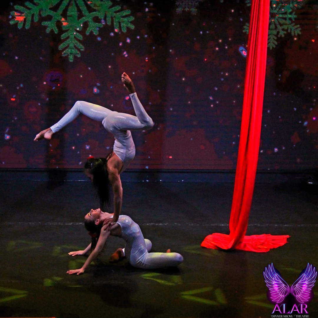 ALAR DINNER SHOW - Image 2