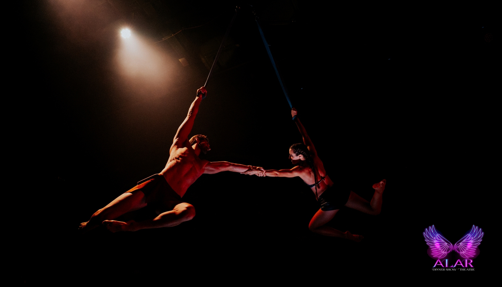 ALAR DINNER SHOW - Image 19