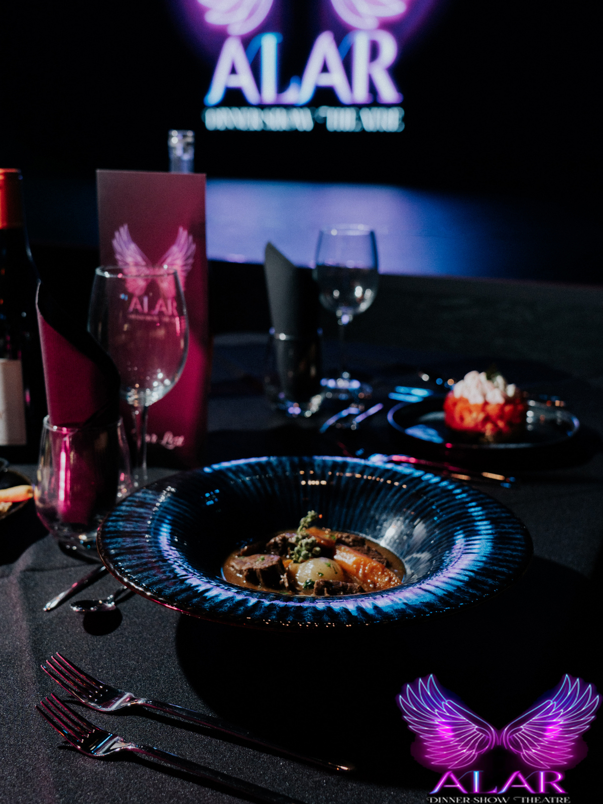 ALAR DINNER SHOW - Image 9