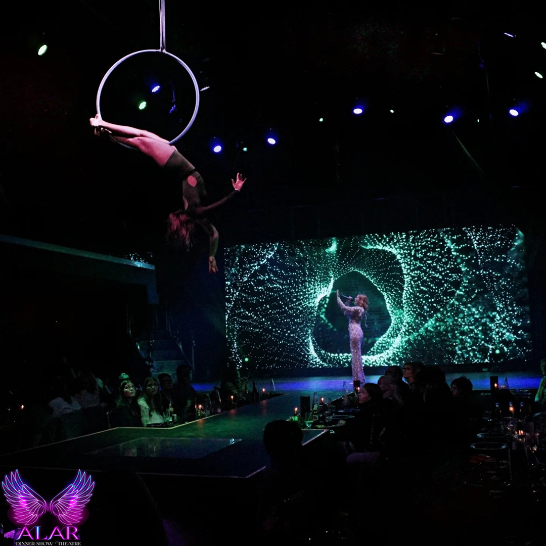 ALAR DINNER SHOW - Image 10