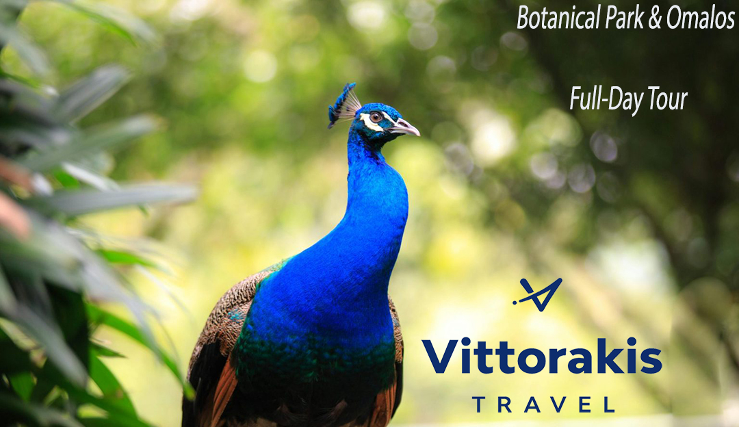 VITTORAKIS TRAVEL - Image 2